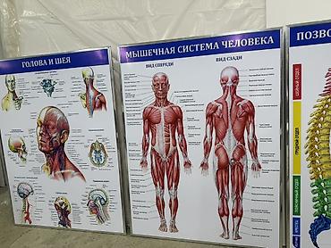 фитнес одежды: | Вывески, | Разработка дизайна — 7