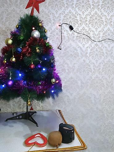 елка цена живая: Продаю ёлка с игрушками и рабочей гирляндой. В связи с переездом — 2
