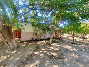 Bağ evlərinin satışı: Bakı, Binəqədi qəs., 216 kv. m, 6 otaqlı, Hovuzsuz, Qaz, Su, Telefon -da lalafo.az — 9 Bağ evlərinin satışı: Bakı, Binəqədi qəs., 216 kv. m, 6 otaqlı, Hovuzsuz, Qaz, Su, Telefon — 9