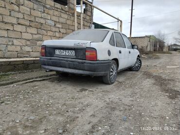 xacmaz masin satisi: Opel Vectra: 2 l | 1989 il 1 km Sedan