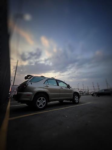 Lexus: Lexus RX: 2004 г., 3 л, Автомат, Газ, Кроссовер — 14