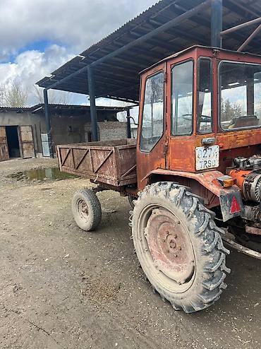 Другие тракторы: Продаю т16 в хорошем состоянии — 8