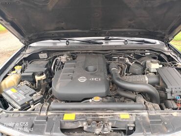 Nissan: Nissan Navara: 2.5 l. | 2007 έ. Πικάπ — 15