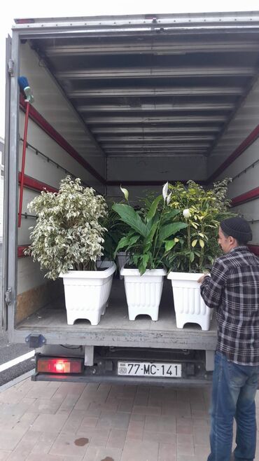 Yük daşımaları: Yüklərin daşınması xidməti - Şəhər içi və şəhərlərarası yükdaşıma - — 1