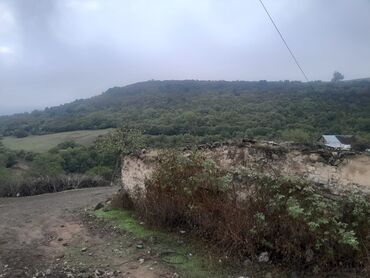 Torpaq sahələrinin satışı: 11 sot, Kənd təsərrüfatı, Kupça (Çıxarış) -da lalafo.az — 13 Torpaq sahələrinin satışı: 11 sot, Kənd təsərrüfatı, Kupça (Çıxarış) — 13