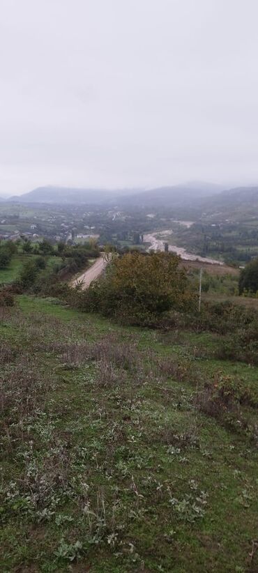 6 ci mikrorayon 1 kv luq verirəm: 45 sot, Kənd təsərrüfatı, Maklerlər narahat etməsin, Kupça (Çıxarış)