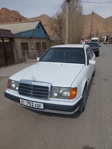 Mercedes-Benz: Mercedes-Benz W124: 1991 г., 2 л, Механика, Бензин, Седан