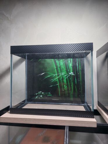 Akvariumlar: Şüşə akvarium – dekorativ fonlu modellər ölçü 30×25×15 Məhsul təsviri — 12