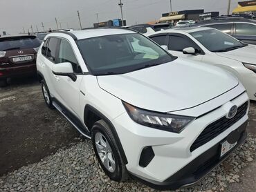 домкрат для машины цена: Toyota RAV4: 2019 г., 2.5 л, Автомат, Гибрид, Кроссовер