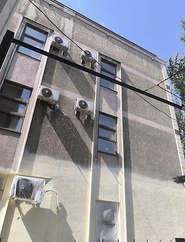 таракан дары: Покраска и окрашивание под ключ. Профессиональное нанесение краски — 10