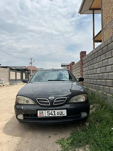 p11: Nissan Primera: 2001 г., 2 л, Автомат, Бензин, Универсал — 4