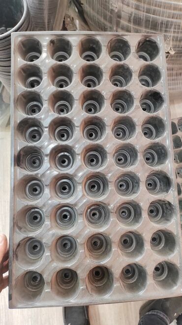 Toxumlar: Buşitil qabi
104şitilqAbi
torf250lulitrlik
torf ekolay
torf balaken — 11