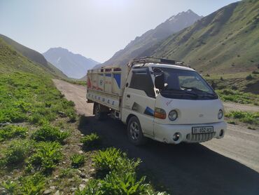 Легкий грузовой транспорт: Легкий грузовик, Hyundai, Стандарт — 10