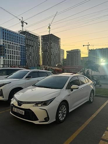 byd e2: Toyota Corolla: 2020 г., 1.8 л, Вариатор, Гибрид, Седан — 4
