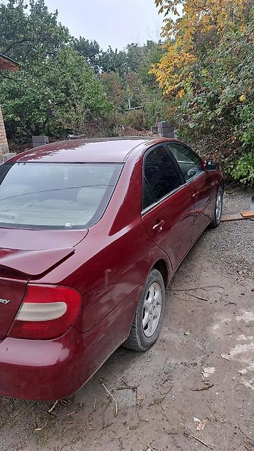 Toyota: Toyota Camry: 2002 г., Автомат, Бензин, Седан — 2