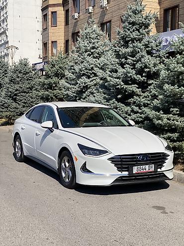 sonata dn: Hyundai Sonata: 2020 г., 2.5 л, Автомат, Бензин, Седан — 1
