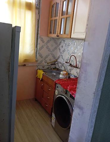 masazırda kirayə evler: 1 otaqlı, 50 kv. m, Təmirsiz — 8