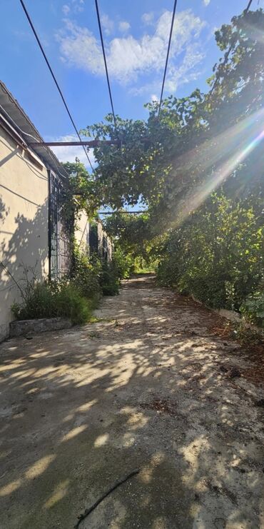 Həyət evləri və villaların satışı: 3 otaqlı, 1500 kv. m, Kredit yoxdur, Orta təmir — 12