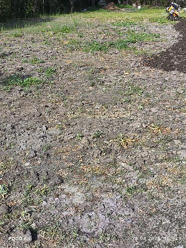 Другие услуги: Спашка огорода С дизельный мотоблок и бензиновый Цена договорная — 15