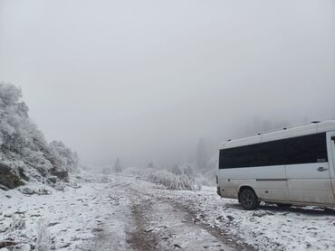 аренда машины фит бишкек: Шаар ичинде, Кордай көзөмөл-өткөрүү пункту, Каракол Бус | 14 орундук