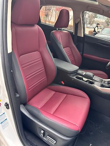 Lexus: Lexus NX: 2019 г., Гибрид, Кроссовер — 18