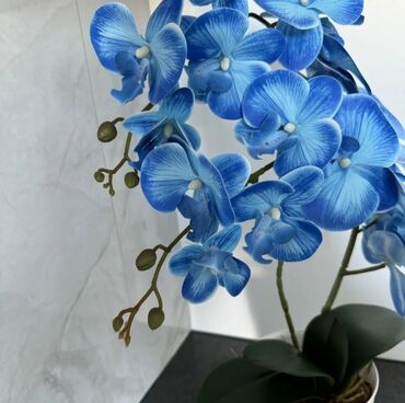 Декоративные цветы: Орхидея искусственная для декора в керамическом горшке Орхидея — 17