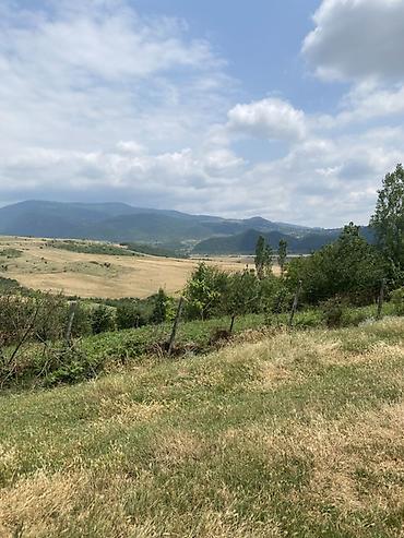 Torpaq sahələrinin satışı: 15 sot, Tikinti — 10