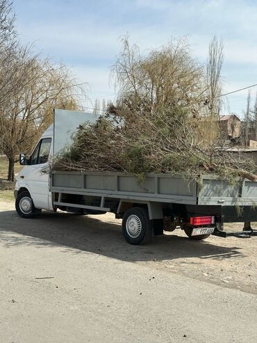 Легкий грузовой транспорт: Легкий грузовик, Mercedes-Benz, Стандарт, 3 т, Б/у