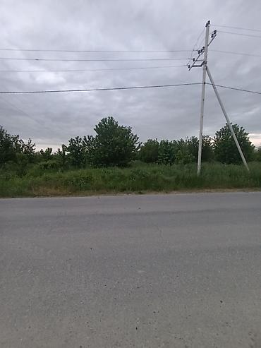 quba 5 sotlar: 35 sot, Kənd təsərrüfatı, Maklerlər narahat etməsin, Kupça (Çıxarış) — 5