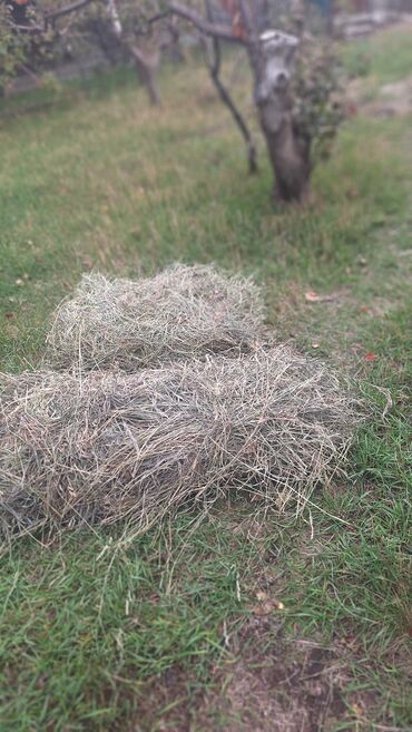 домик для кошки многоуровневый: Сено в россыпь - Натуральное луговое сено, высушенное на открытом