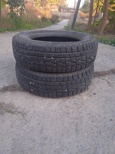 автозапчасти бишкек: Шиналар 175 / 65 / R 14, Кыш, Колдонулган, Жуп, Жеңил унаалар, Cordiant