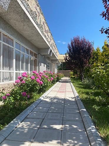 Иссык-Куль 2026: Номер, Аист Тамга — 6