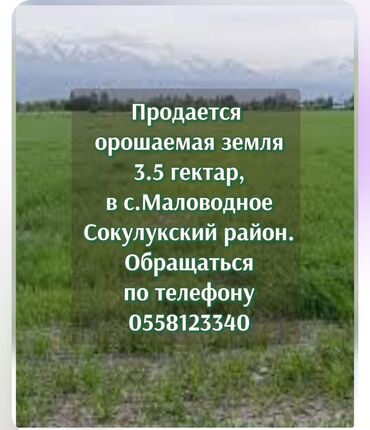 продается орошаемая земля в жайылско районе алтыр будёновка 5 40 гектар цена договорная с довой проблем нету оформление сразу: 3 соток, Для сельского хозяйства