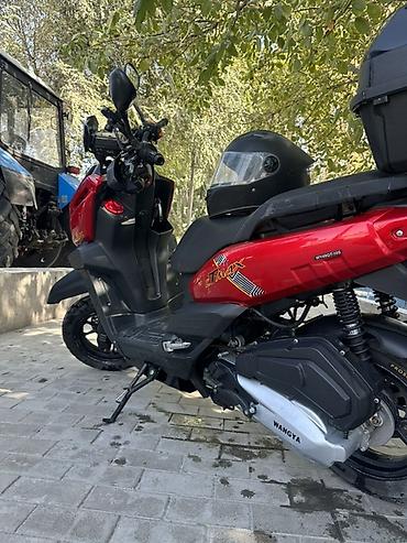 3 колесный скутер: Срочно продаю мопед танк 150 кубов документы есть Авто запуск — 3