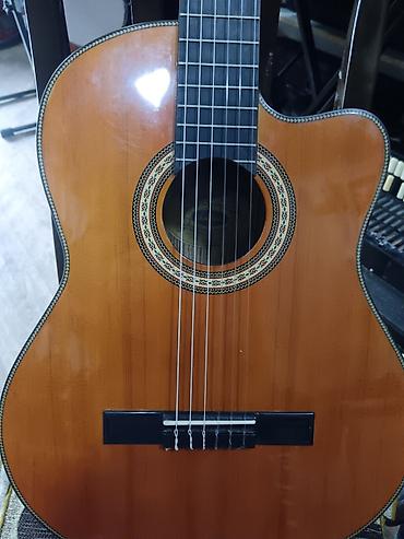 elekt: Washburn elektro-klasik gitara - Brend/model: Washburn klassik gövdə — 3