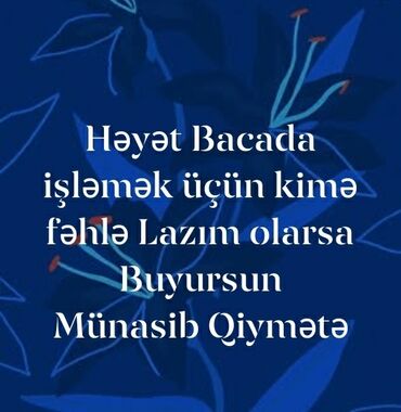 iş fəhlə: Salam Ümumu Fəhlə və yük Fəhləsi Nəsə Aparmaq Gətirmək yük daşımaq