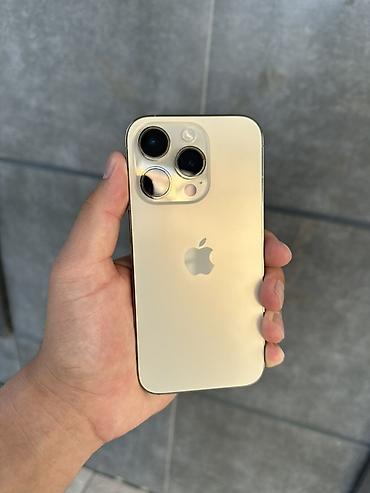 📱 iPhone 14 Pro • 256 GB 💛 Цвет: Gold (золотой) 🔋 АКБ 95% ✨ Идеальное at lalafo.kg 📱 iPhone 14 Pro • 256 GB 💛 Цвет: Gold (золотой) 🔋 АКБ 95% ✨ Идеальное