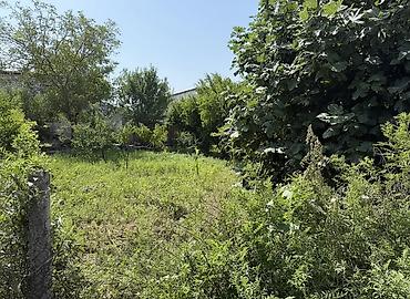 binede torpaq kupcali: 4 sot, Tikinti, Barter mümkündür, Kupça (Çıxarış), Bələdiyyə, Texniki pasport — 1
