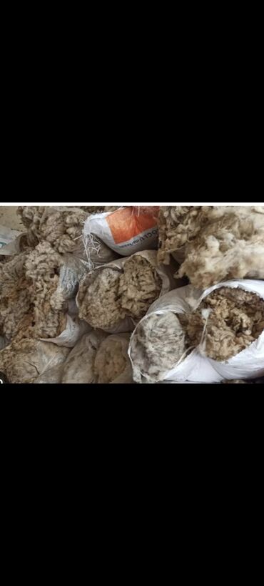 текстиль: Qoyun yunu satilir kirlidi 200 kilodan coxdu razilasma ile