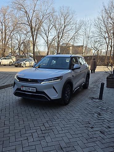 BYD: BYD Yuan Up: 2025 г., 1 л, Вариатор, Электромобиль, Универсал — 4