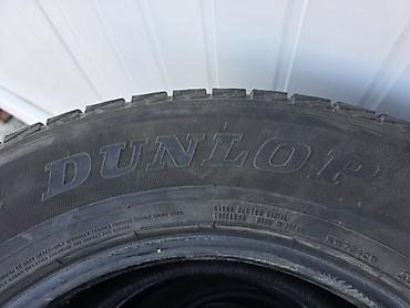 60: Комплект зимних шин Dunlop (Япония), безкамерные, радиальные — 2