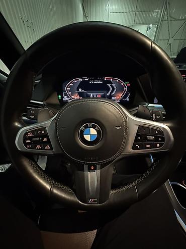 BMW: BMW X7: 2020 г., 3 л, Автомат, Дизель, Кроссовер — 8