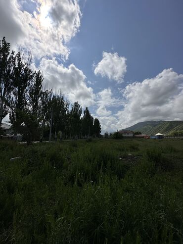 Отели и хостелы: Каракол! 🏔 Гостевой дом в идеальном месте — рядом с горнолыжной — 11