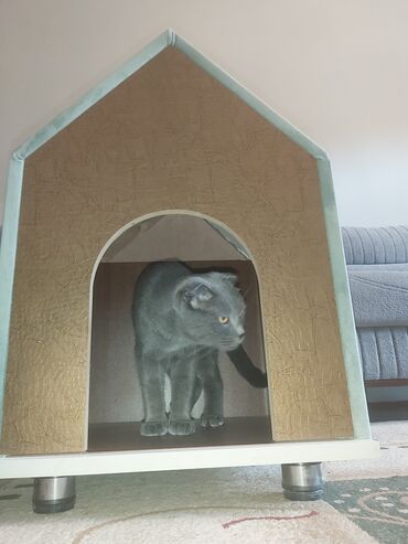 Yuvalar: Pişik üçün ev. Akril Laminat 18 lik. Ölçüləri : Hündürlük 70 sm. Eni — 4