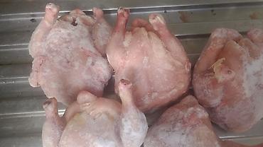 тушки кур: Продаю | Куры | Бройлерная | На забой — 4