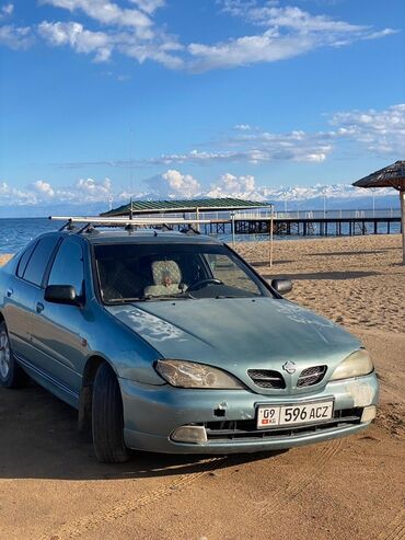 купить опель вектра ц: Nissan Primera: 2001 г., 1.8 л, Механика, Бензин, Хетчбек