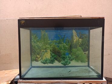 Akvariumlar: Dördbucaq akvarium, Boş, 80 l