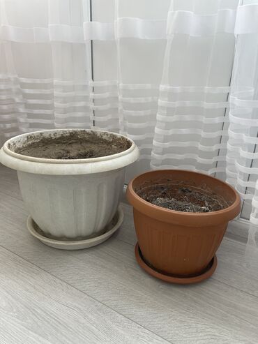 грунт для комнатных растений: Кашпо с грунтом и Горшки для растений и цветов с готовым грунтом