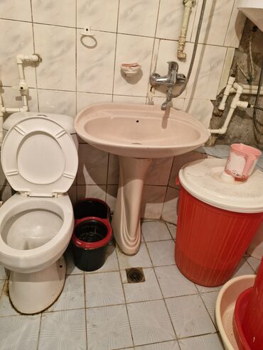 ağ tülpan qiyməti: Umuvannik