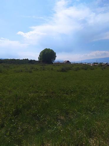 Продажа участков: 15 соток, Для сельского хозяйства, Красная книга — 4